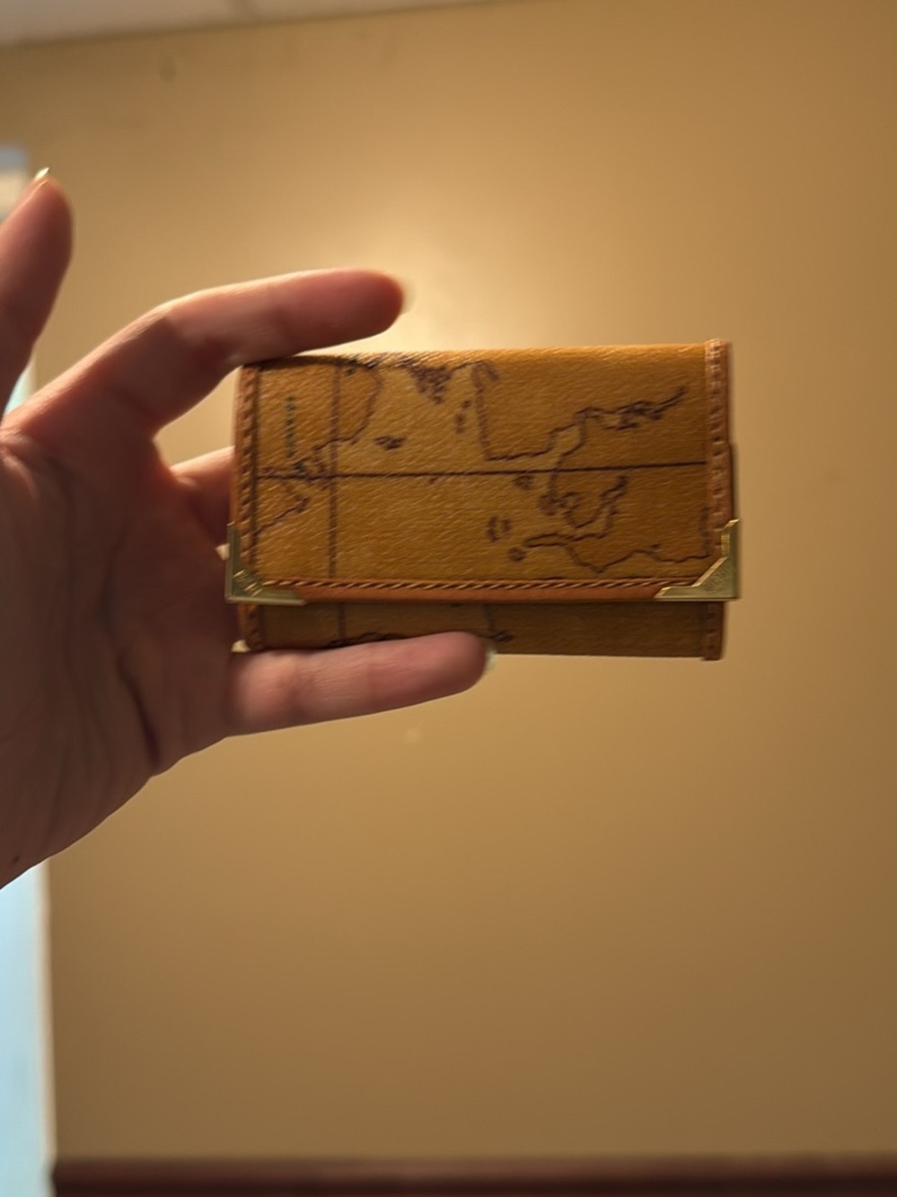Key holder Wallet with Map Print